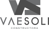logo vaesoli